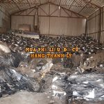 Bán khung nhà thép tiền chế cũ, khung nhà xưởng cũ tại Hà Nội