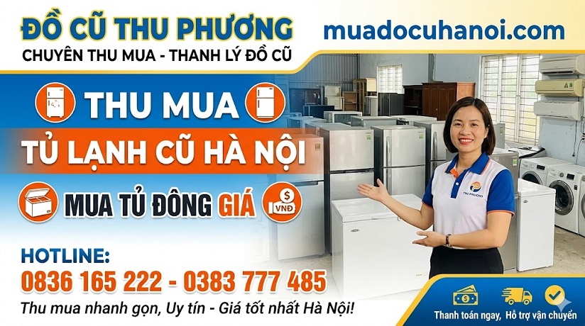 thu-mua-tu-lanh-tu-dong